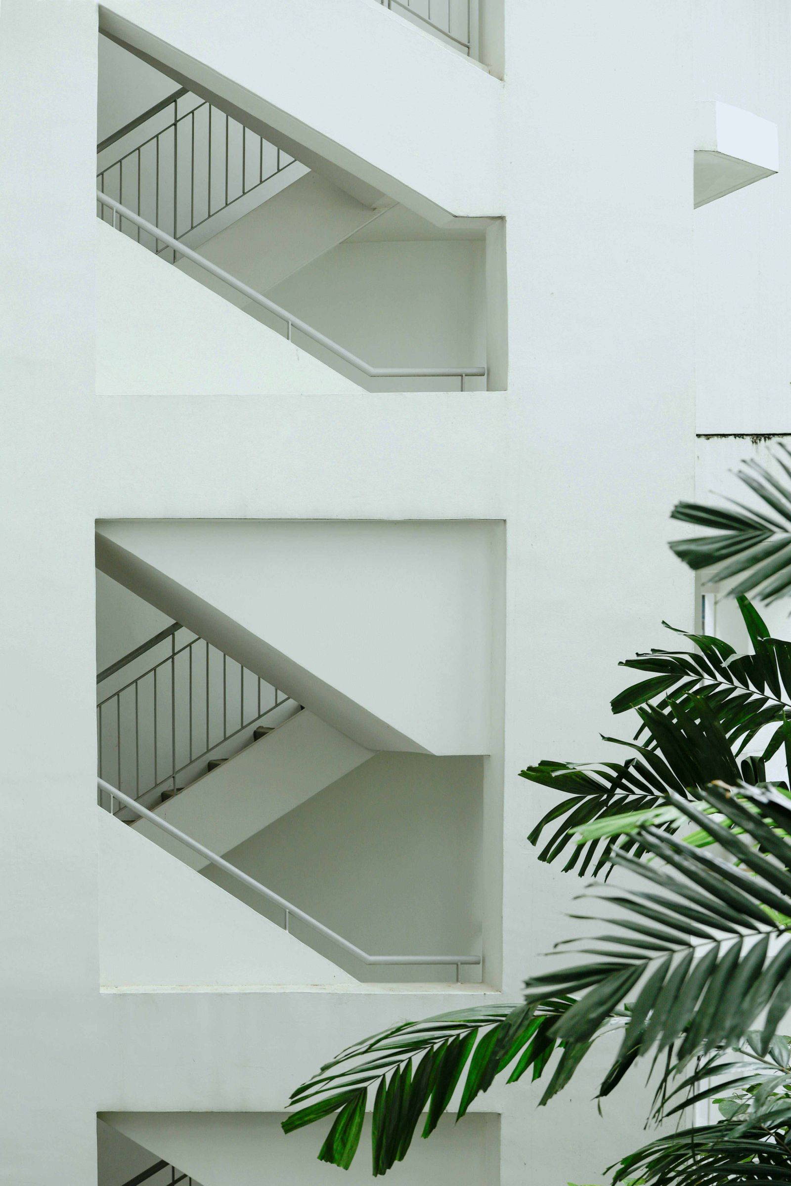 Escalier extérieur propre et moderne avec plantes vertes, illustrant un service de conciergerie et entretien à Genève.